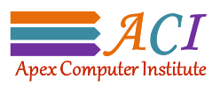 Apex Computer Institute 